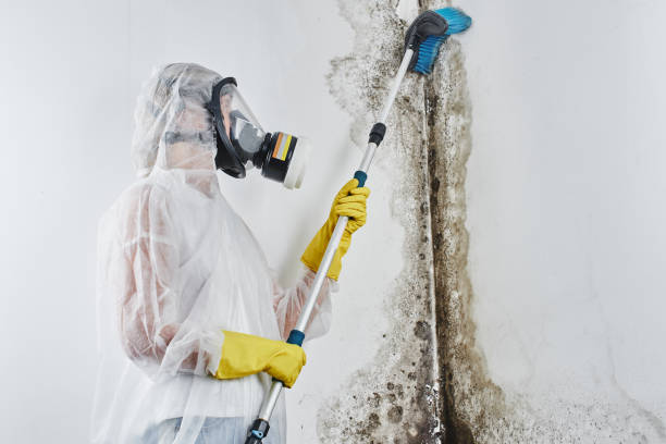 Best Mold Cleaning Services  in Colfax, WI